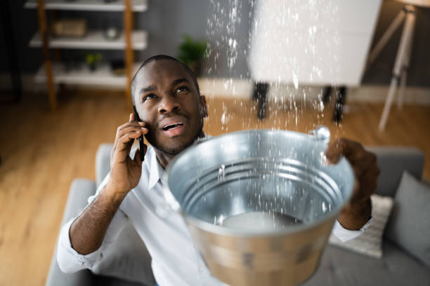 Best Carpet water damage restoration  in Keystone, FL