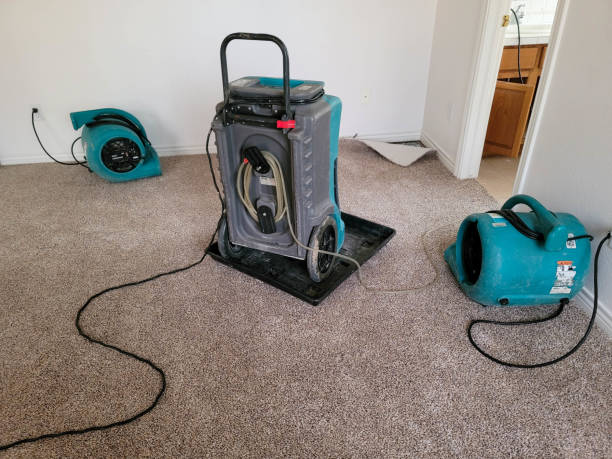 Best 24-hour water damage restoration  in Keystone, FL