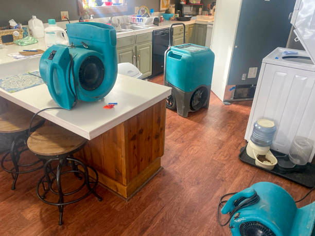 Best Commercial water damage restoration  in Keystone, FL