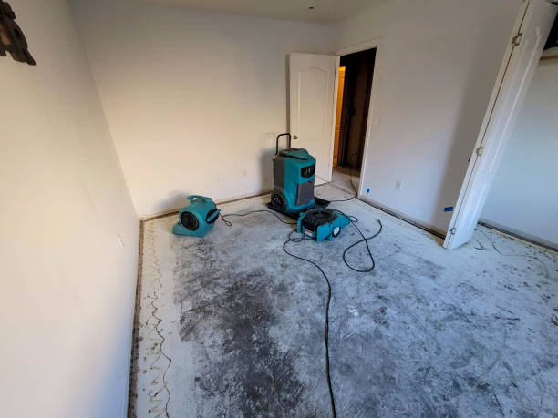 Best Water damage cleanup near me  in Keystone, FL