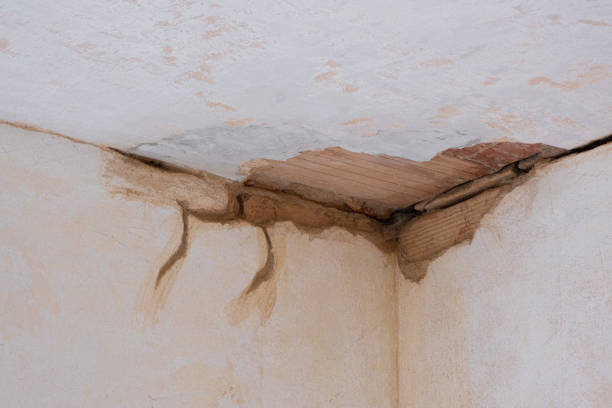 Best Flooded house restoration  in Keystone, FL
