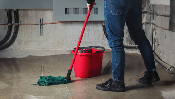 Best Emergency water extraction  in Keystone, FL