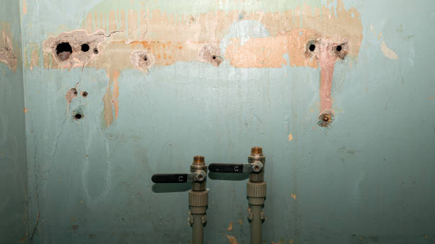 Best Water damage restoration near me  in Keystone, FL