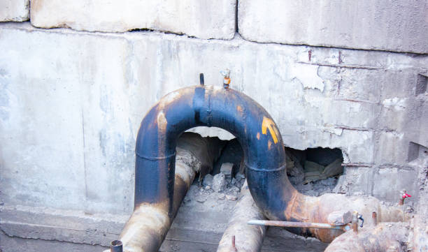 Best Sewage cleanup and water damage restoration  in Keystone, FL