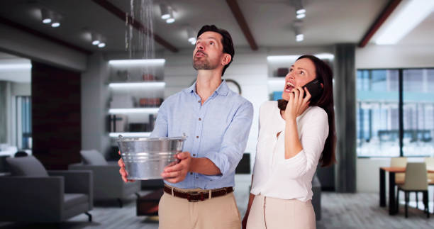 Best Flooded house restoration  in Keystone, FL