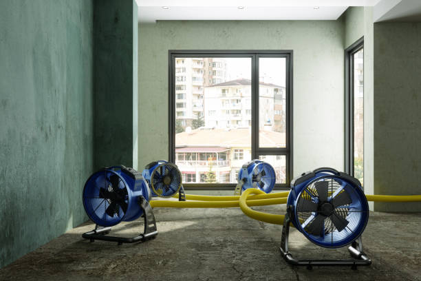 Best Flood restoration services  in Keystone, FL